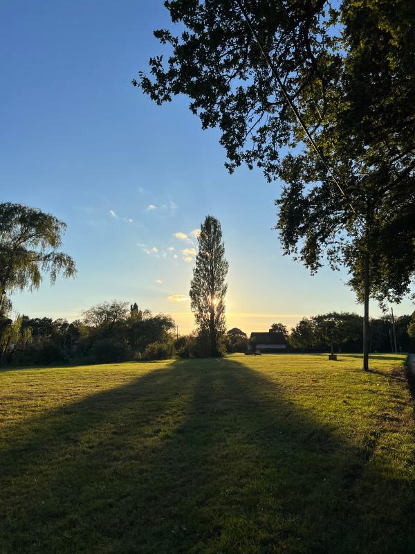 Village green sunset